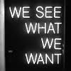 dadcastellanos: (we see what we want)