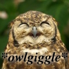 filialucis: (Owlgiggle)