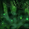 beasts_of_homeworld: Deep in an ancient forest where green moss covers all, little glowing balls of coloured light float about in the mist. (Any - Forest)