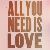 fawkesfires: (words ♔ all you need is love.)