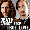 lesyeuxverts: (Remus Sirius)