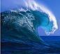 ariestess: (wave -- from falkie)
