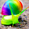 oftheuniverse: (Pictures ♥ Gay snail)