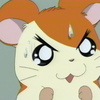 sunflowerseeds: (cats!!)