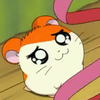 sunflowerseeds: (nyoron...)