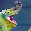 gonerunningaway: A green chameleon with a dark brown baby chameleon curled on its horn (Default)