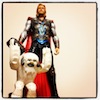omens: huge action figure thor and surrendering lego wampa (frostwampa)