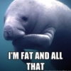 mother_bones: (fat manatee)