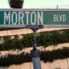 mortonfox: (morton blvd)