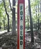 mortonfox: (fox bend)