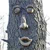 mortonfox: (face tree)