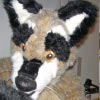 mortonfox: (raccoon)