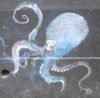 sara: octopus (octopus)