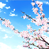 godsoffortune: (sakura)